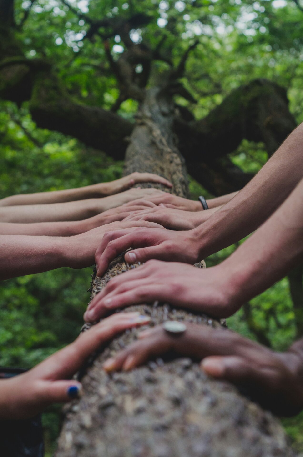 Hands coming together in support